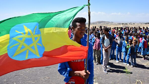 A man holds an Ethiopian flag as children from neighbouring Hama elementary school arrive to pay condolences at the  crash site of the Ethiopian Airlines operated Boeing 737 MAX aircraft which killed 157 passengers and crew onboard, at Hama Quntushele village, near Bishoftu, in Oromia region, on March 15, 2019. - Sputnik Africa
