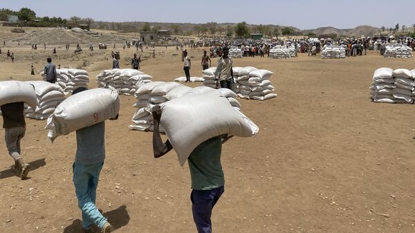 Sacks of wheat are unloaded at a food distribution site in the town of Adi Mehameday, in the western Tigray region of Ethiopia, Saturday, May 28, 2022.  - Sputnik Africa