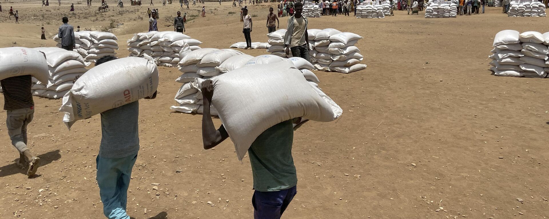 Sacks of wheat are unloaded at a food distribution site in the town of Adi Mehameday, in the western Tigray region of Ethiopia, Saturday, May 28, 2022.  - Sputnik Africa, 1920, 04.05.2023