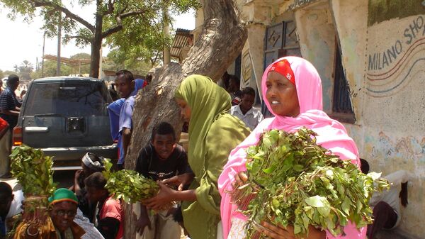 Somali women carry bundles of khat, a leaf that Somalis chew and is a mild stimulant, in the Somali coastal town of Kismayo, Somalia, Monday, Sept. 10, 2007. - Sputnik Africa