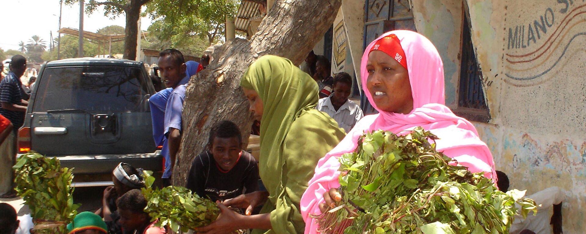 Somali women carry bundles of khat, a leaf that Somalis chew and is a mild stimulant, in the Somali coastal town of Kismayo, Somalia, Monday, Sept. 10, 2007. - Sputnik Africa, 1920, 06.05.2023