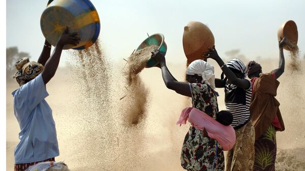 Malian women sift wheat in a field near Segou, central Mali, Jan. 22, 2013.  - Sputnik Africa