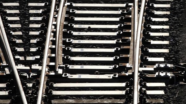 Railroad tracks are pictured at a depot in Mannheim, southwestern Germany, on February 23, 2022. - Sputnik Africa