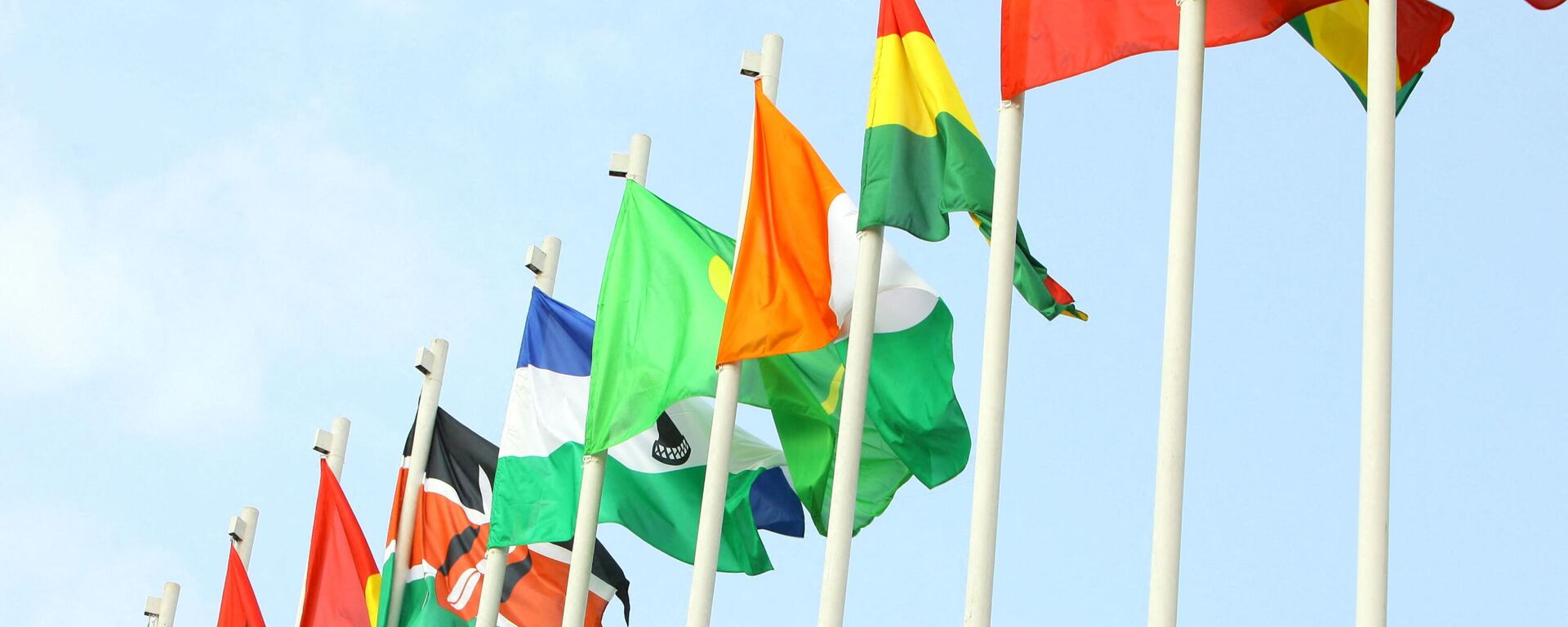 The flags of African Union countries wave in the wind on June 29, 2011, at Malabo international airport on the eve of African Union's 17th summit in Sipopo City, a city built especially for the occasion near the capital Malabo.  - Sputnik Africa, 1920, 21.05.2023