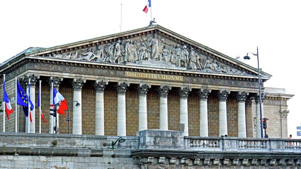 The National Assembly is the lower house of the bicameral Parliament of France. - Sputnik Africa