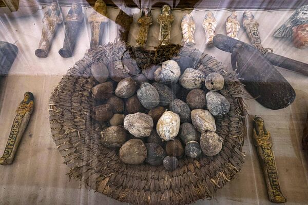 A basket filled with doum fruit (zuriat) is displayed among other newly discovered objects at the Saqqara necropolis where archaeologists unearthed two human and animal embalming workshops as well as two tombs, south of Cairo on May 27, 2023.  - Sputnik Africa