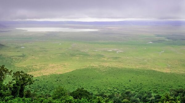 Tanzania's Ngorongoro Crater - Sputnik Africa