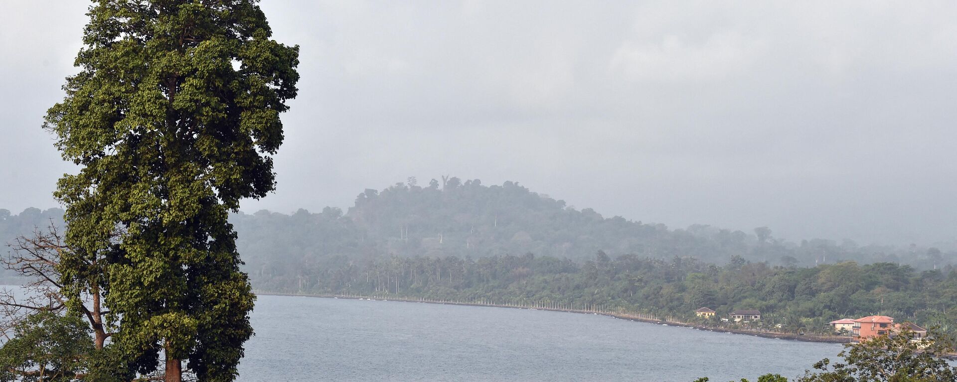 A general view shows the rain forest near Luba, Equatorial Guinea, on January 22, 2015 - Sputnik Africa, 1920, 05.06.2023