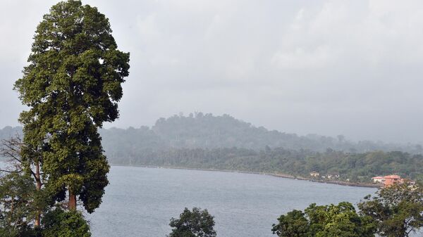 A general view shows the rain forest near Luba, Equatorial Guinea, on January 22, 2015 - Sputnik Africa