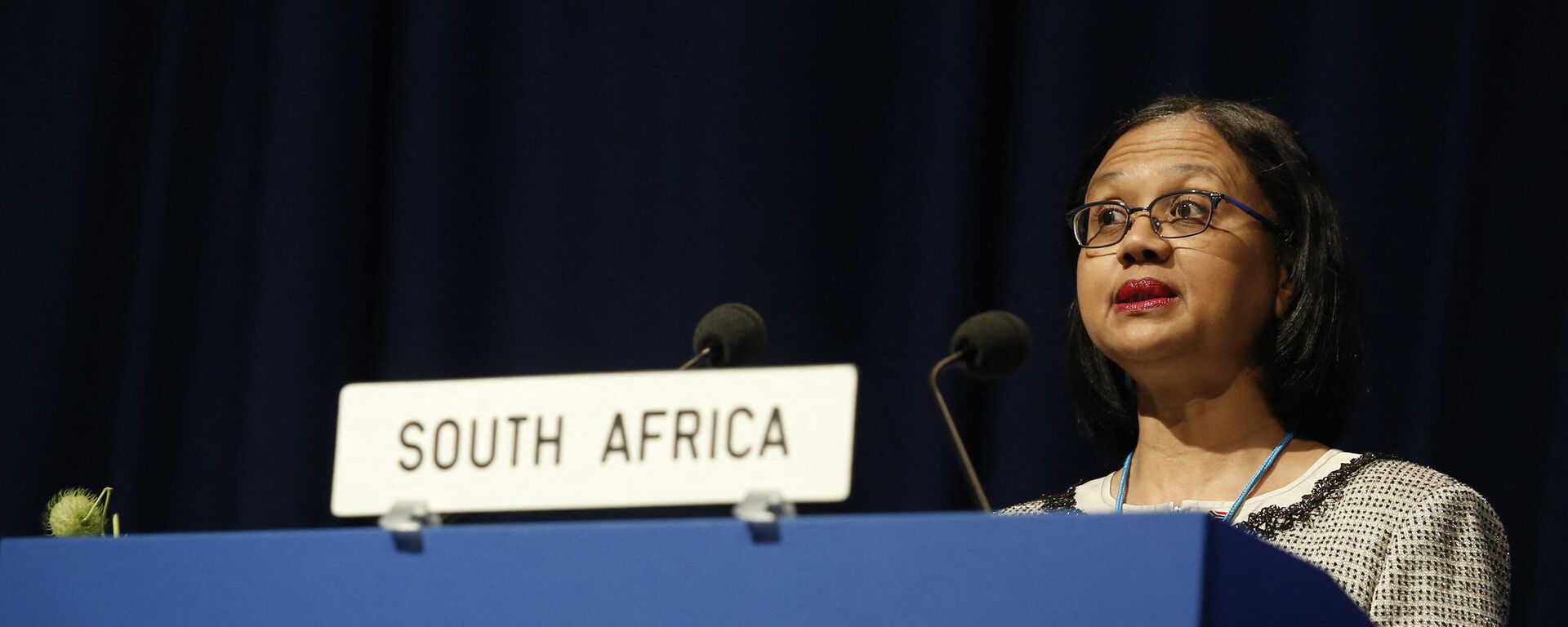 South African Minister for Energy Tina Joemat-Pettersson delivers a speech at the opening session of the 58th general conference of the International Atomic Energy Agency (IAEA) on September 22, 2014 in Vienna. - Sputnik Africa, 1920, 06.06.2023