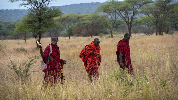 In this photograph taken Saturday July 6, 2019, Maasai warriors track the movements of a lion near the village of Loibor Siret, Tanzania.  - Sputnik Africa
