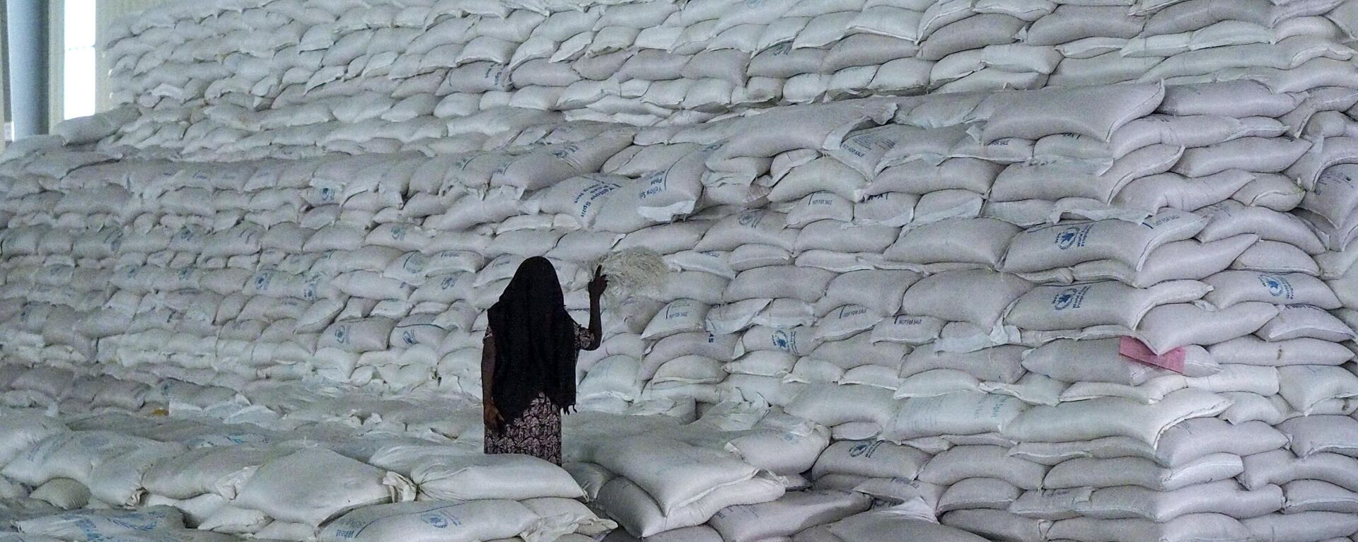 A worker walks next to a pile of sacks of food earmarked for the Tigray and Afar regions in a warehouse of the World Food Programme (WFP) in Semera, the regional capital for the Afar region, in Semera, Ethiopia, Feb. 21, 2022. - Sputnik Africa, 1920, 09.06.2023