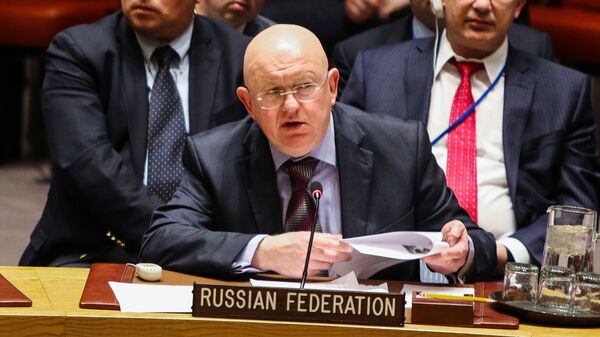 UN Security Council meeting in New York, the United Nations Russian Permanent Representative Vasily Nebenzya. - Sputnik Africa