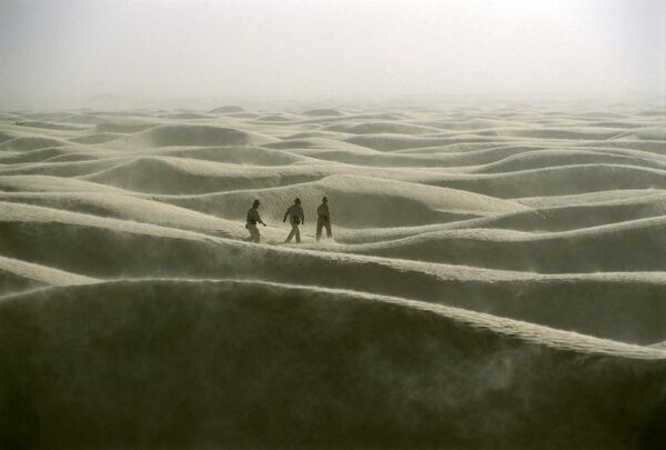 Members of the expedition of the Polish traveler Jacek Palkiewicz to the Sahara Desert. - Sputnik Africa