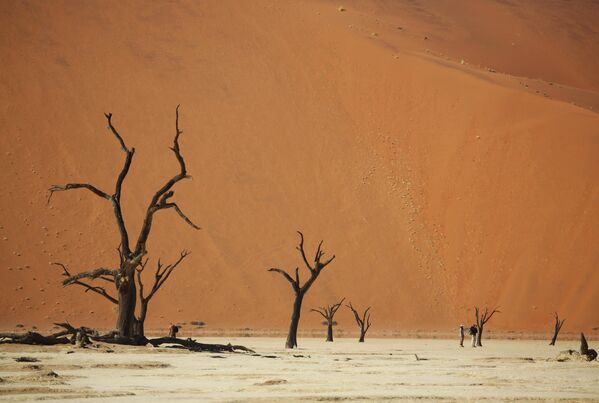 Deadvlei in the Namib Desert in Namibia. - Sputnik Africa