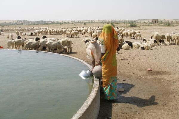 The Thar Desert, Rajasthan, India. The Thar desert forms a natural boundary between India and Pakistan.  - Sputnik Africa