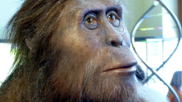  Natural History Museum, Vienna ( Austria ). Model of a male Australopithecus afarensis. - Sputnik Africa