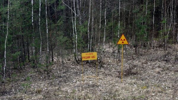 Chernobyl Exclusion Area - Sputnik Africa