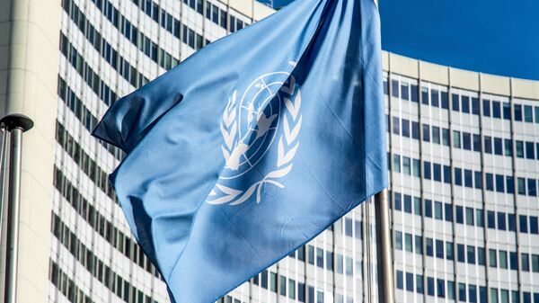 United Nations' flag - Sputnik Africa