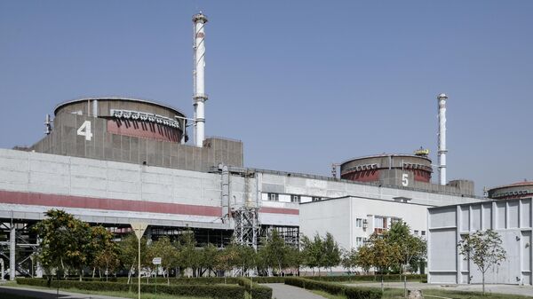 Zaporozhye NPP. File photo - Sputnik Africa