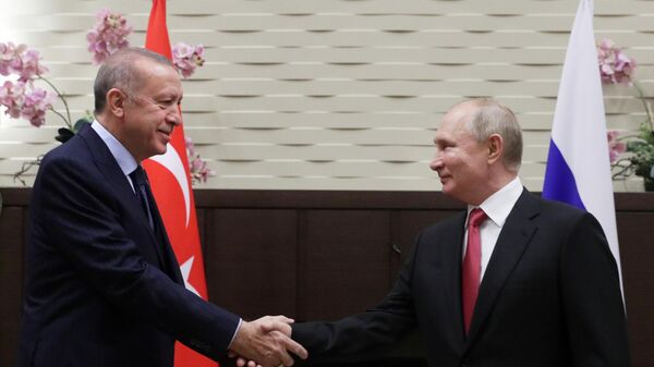 Russian President V. Putin after talks with Turkish President Recep Tayyip Erdogan - Sputnik Africa
