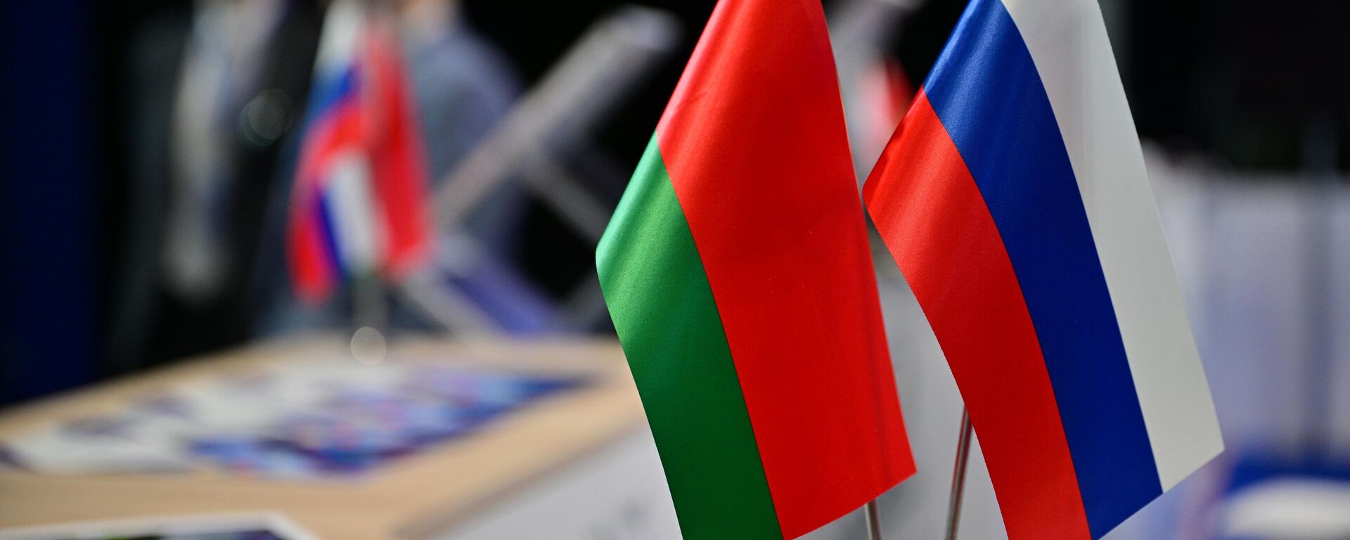Flags of Russia and Belarus on one of the stands of the exhibition of the Eurasian Economic Forum in the Park of Science and Art Sirius. - Sputnik Africa, 1920, 24.06.2023