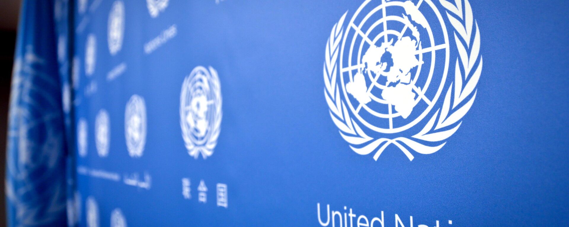 UN logo pattern a press conference background at the United Nations headquarters - Sputnik Africa, 1920, 26.06.2023
