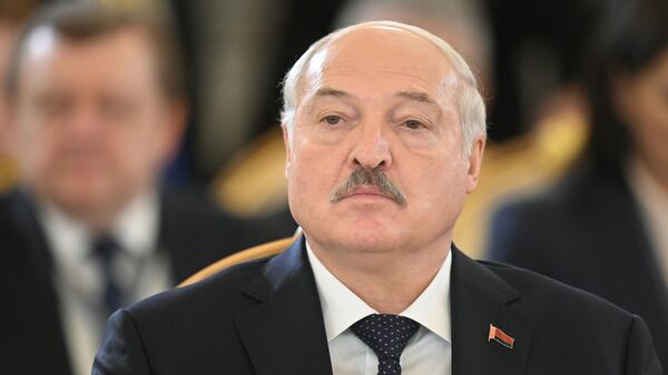 President of the Republic of Belarus Alexander Lukashenko at a meeting of the Supreme Eurasian Economic Council in Moscow on May 25.  - Sputnik Africa