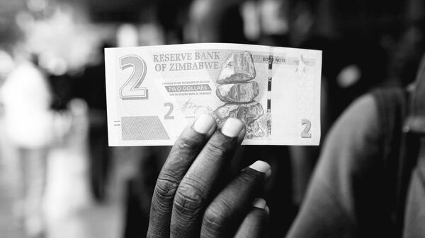 Le dollar est en train d’être jeté à la poubelle, selon un responsable associatif zimbabwéen - Sputnik Afrique