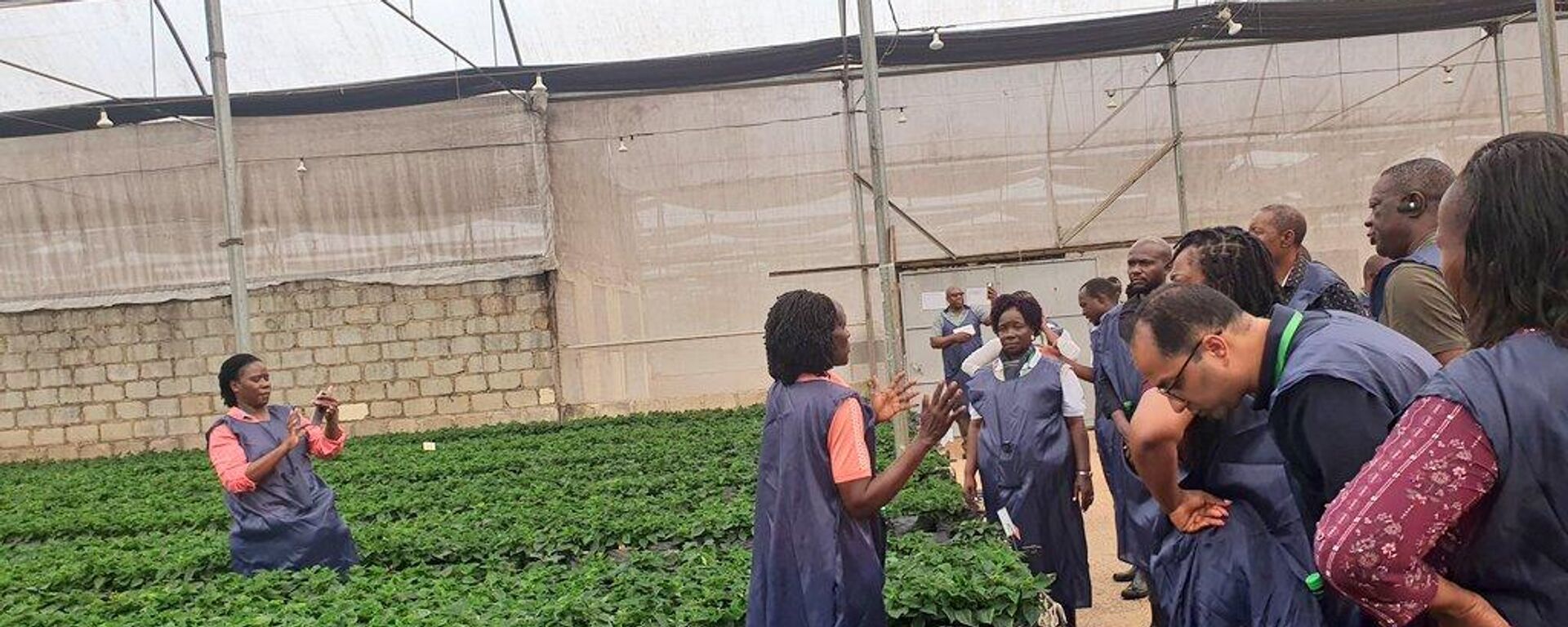 Representatives of AU member states are touring  farms and plantations in Uganda that export plants and or plant products - Sputnik Africa, 1920, 03.07.2023