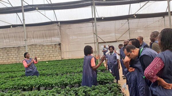 Representatives of AU member states are touring  farms and plantations in Uganda that export plants and or plant products - Sputnik Africa