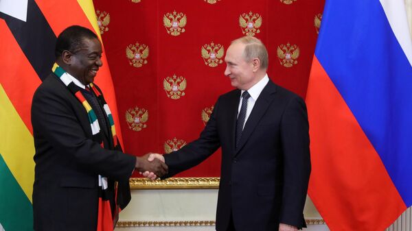 Russian President Vladimir Putin meets with Zimbabwean President E. Mnangagwa - Sputnik Africa
