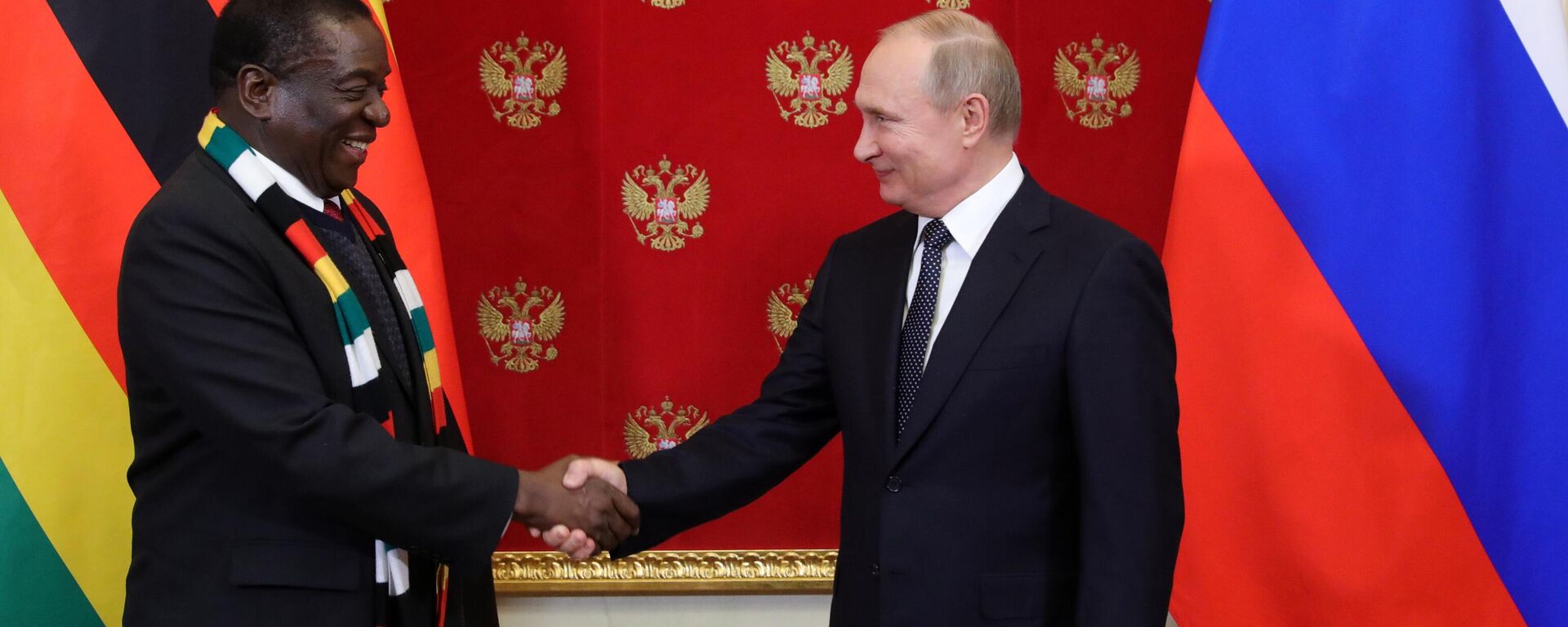 Russian President Vladimir Putin meets with Zimbabwean President E. Mnangagwa - Sputnik Africa, 1920, 04.07.2023
