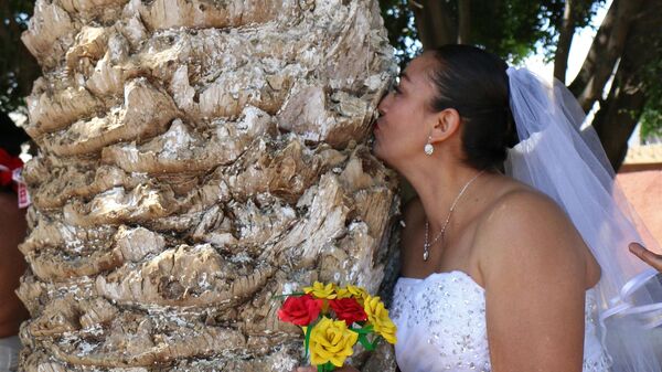 Une militante écologiste embrasse un arbre lors de l’événement appelé Épouse un arbre de la communauté de San Jacinto Amilpas, dans l'État d'Oaxaca, au Mexique, le 25 février 2018. Cette tradition est née comme un rituel de remerciement à la Terre Mère et a ensuite cédé la place à un mariage symbolique basé sur les coutumes incas où des femmes et des hommes épousent des arbres. - Sputnik Afrique