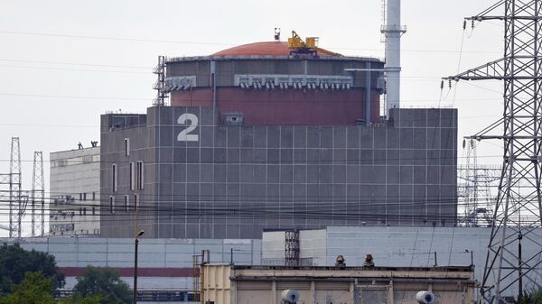 Zaporozhye nuclear power plant located near Energodar. File photo - Sputnik Africa