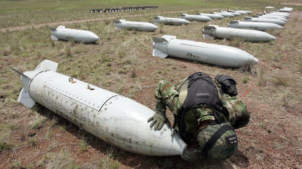An explosive expert of Colombia's Air Force defuses a cluster bomb prior to its destruction at a military base in Marandua, in southern Colombia, Thursday, May 7, 2009.  - Sputnik Africa