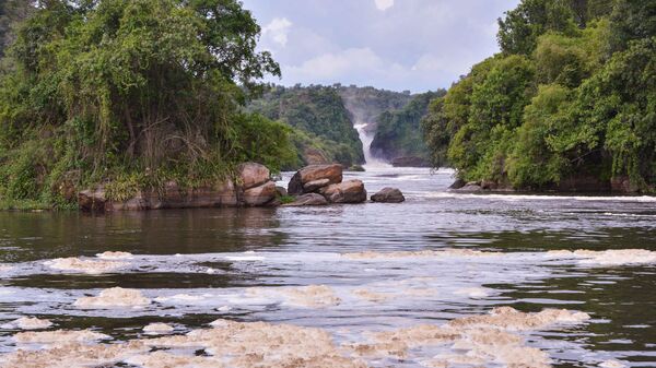 Murchison Falls, Uganda - Sputnik Africa