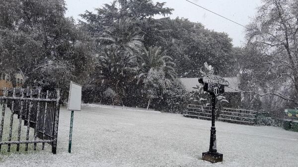 Snow in Johannesburg - Sputnik Africa