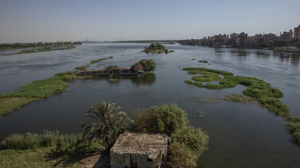 The River Nile as it passes through Beni Suef, Egypt. The Egyptians fear water levels will go down if the Ethiopian dam goes ahead. - Sputnik Africa