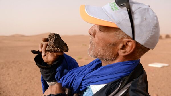 A meteorite hunter examines a rock near the oasis town of Mhamid el-Ghizlane, in southern Morocco's Sahara desert province of Zagora on March 25, 2018.  - Sputnik Africa