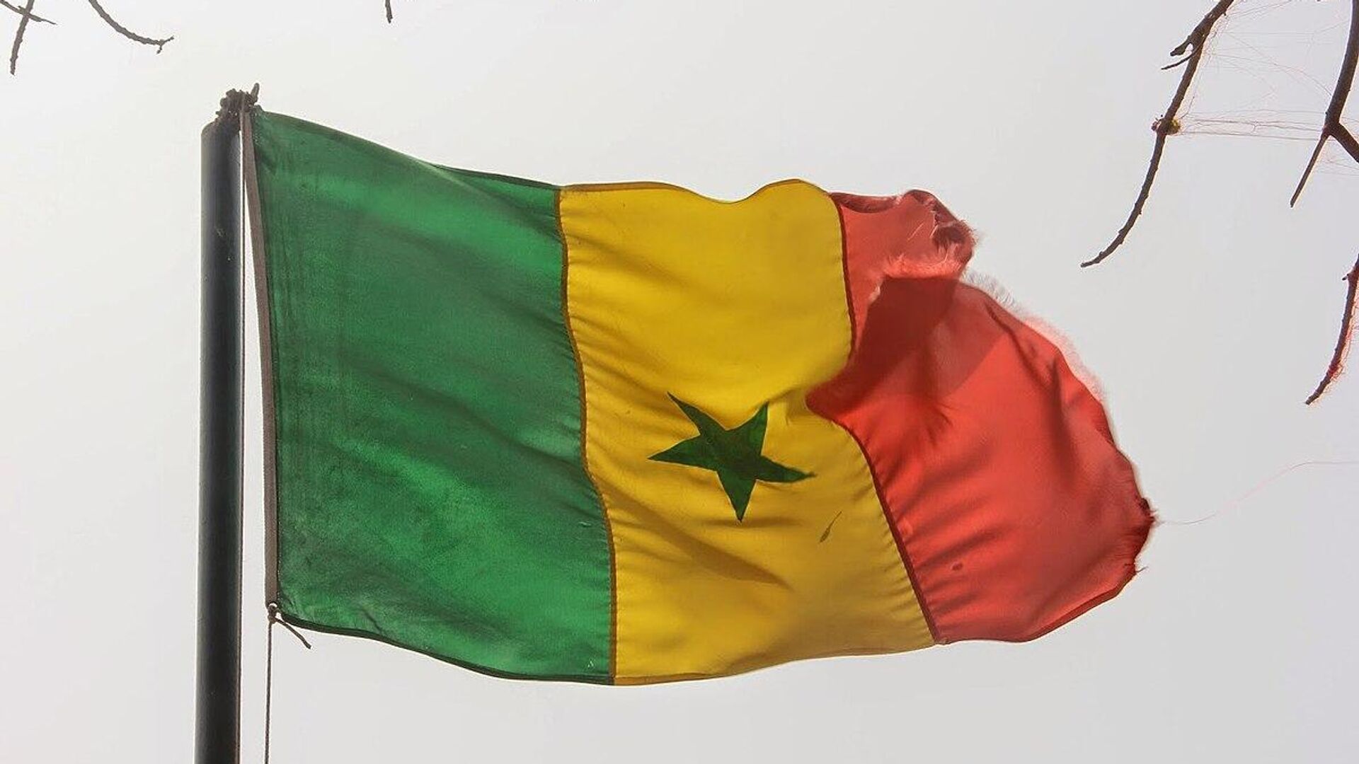 Senegal flag - Sputnik Africa, 1920, 31.08.2023