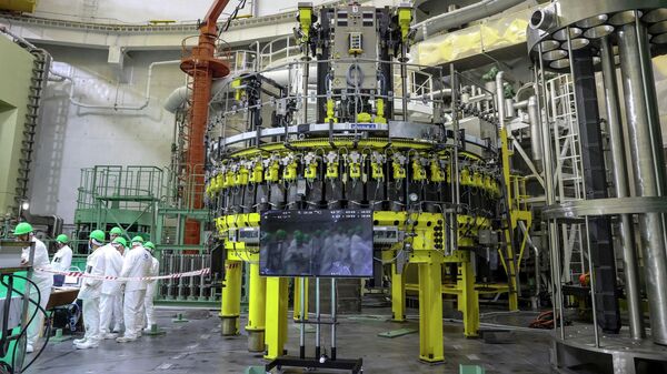 In this Friday, Aug. 7, 2020 file photo, personnel work to begin loading nuclear fuel at Belarus' first nuclear plant which was built by Russia's state nuclear corporation Rosatom, near Astravets, Belarus.  - Sputnik Africa