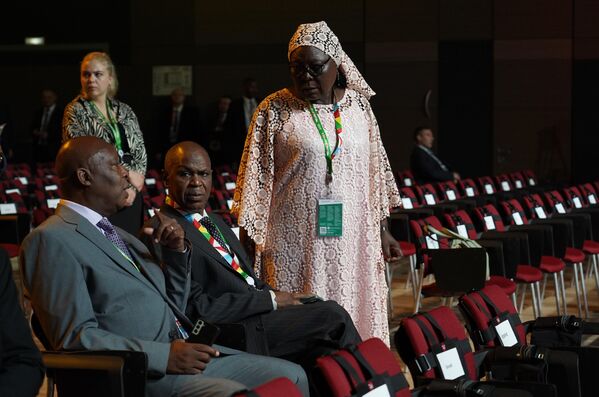 Forum participants gather for a plenary session. - Sputnik Africa