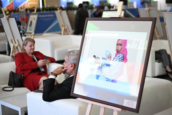 Forum participants at the Expoforum Convention and Exhibition Center. - Sputnik Africa