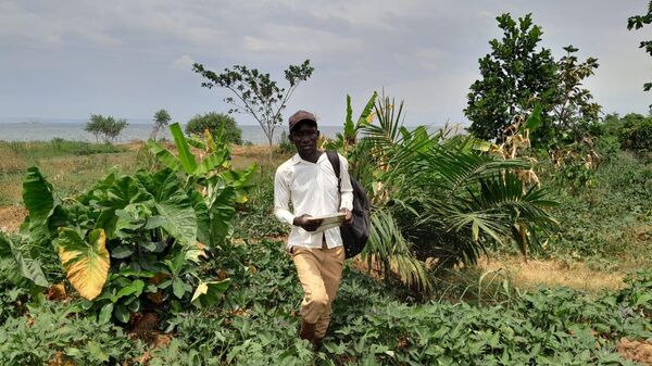 Uganda's National Oil Palm Project - Sputnik Africa