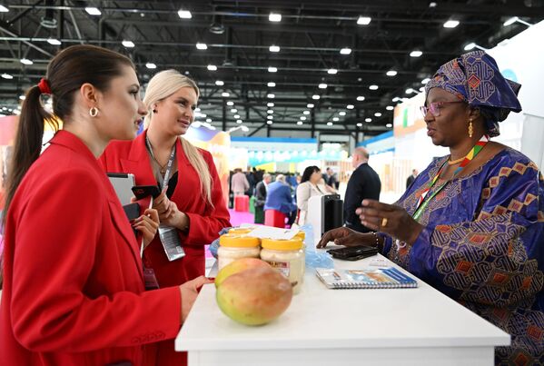 Forum participants chat at the Expoforum Convention and Exhibition Center. - Sputnik Africa