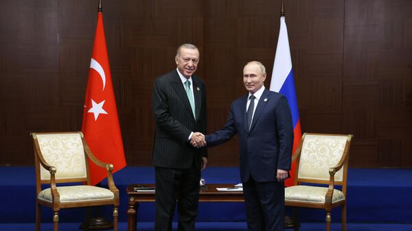 Russian President Vladimir Putin and Turkish President Recep Tayyip Erdogan (left) during a meeting on the sidelines of the VI summit of the Conference on Interaction and Confidence Building Measures in Asia (CICA) at the Palace of Independence in Astana. - Sputnik Africa