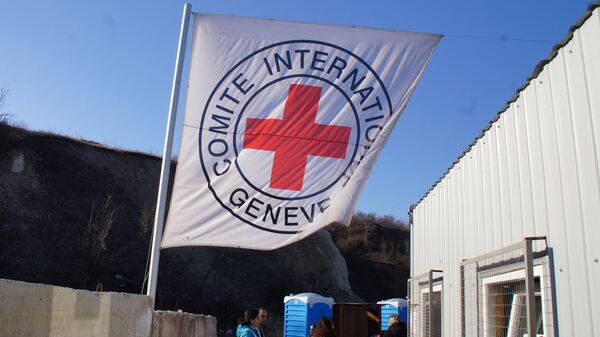 Flag of the International Committee of the Red Cross. (File) - Sputnik Africa