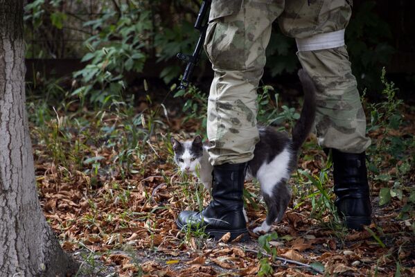A stray cat at the feet of a soldier of the Russian Armed Forces at the Vasilyevka Central City Hospital in the Zaporozhye region. - Sputnik Africa