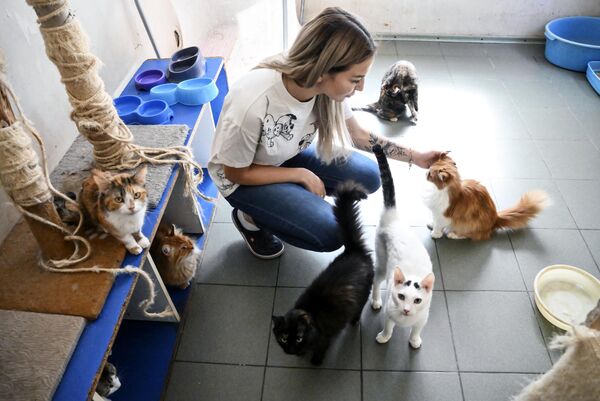 An employee of the &quot;Pif&quot; homeless animal shelter with her pets at the shelter in Donetsk. - Sputnik Africa